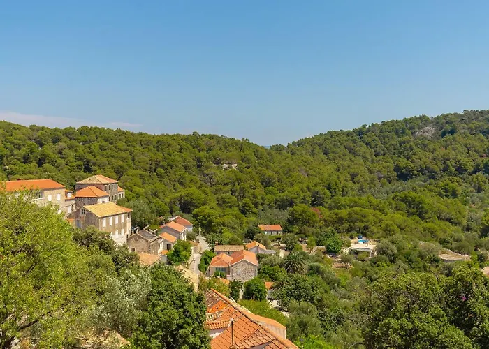 Klacina * 古维达里